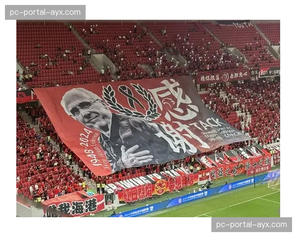 聚焦瞬间：波鸿球迷在球队保级关键战前展示巨型TIFO